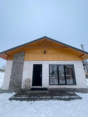 Marni's cottage in Bakuriani